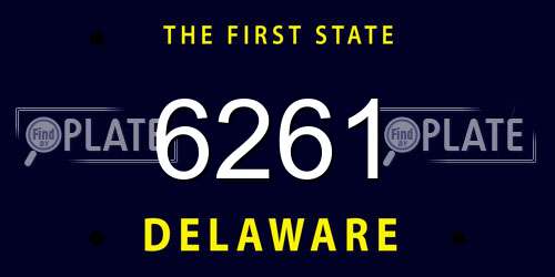 6261 Delaware License Plate