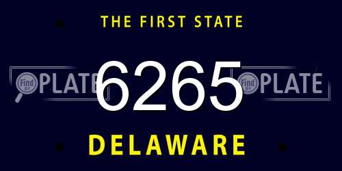 6265 Delaware License Plate