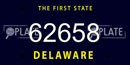 62658 Delaware License Plate