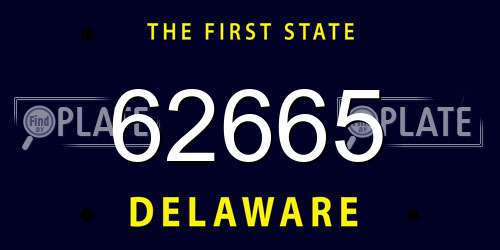62665 Delaware License Plate