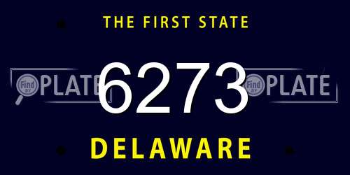 6273 Delaware License Plate