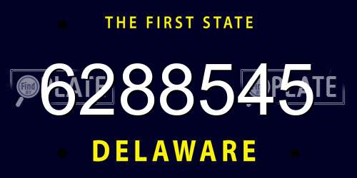 6288545 Delaware License Plate