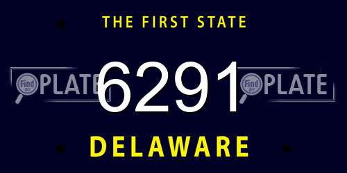 6291 Delaware License Plate