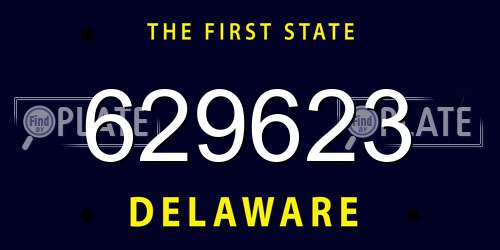 629623 Delaware License Plate