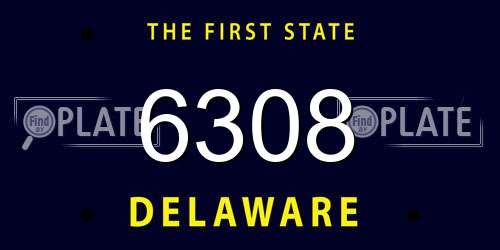 6308 Delaware License Plate