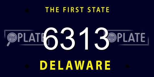 6313 Delaware License Plate