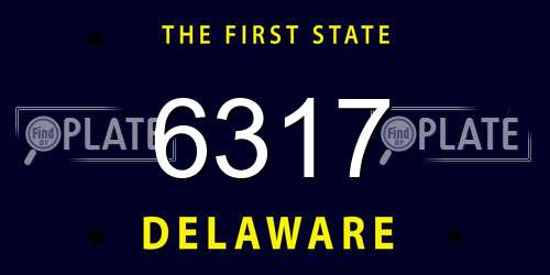 6317 Delaware License Plate