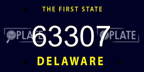 63307 Delaware License Plate