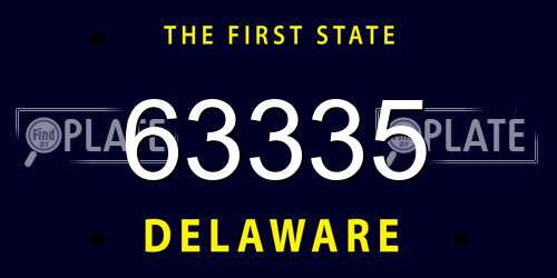63335 Delaware License Plate