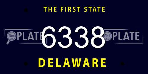 6338 Delaware License Plate