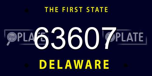 63607 Delaware License Plate