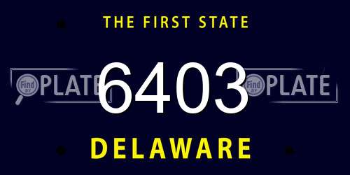 6403 Delaware License Plate