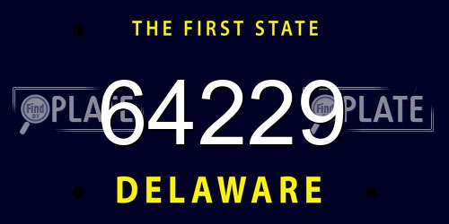 64229 Delaware License Plate
