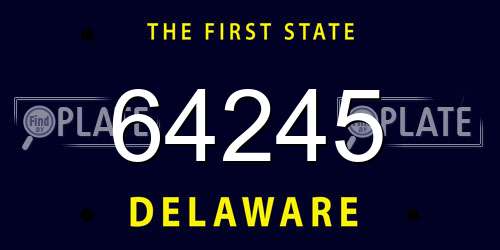 64245 Delaware License Plate