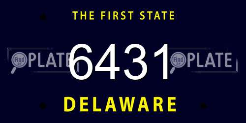 6431 Delaware License Plate