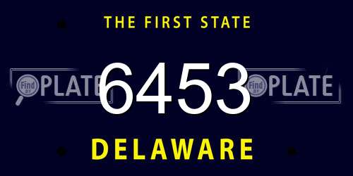 6453 Delaware License Plate