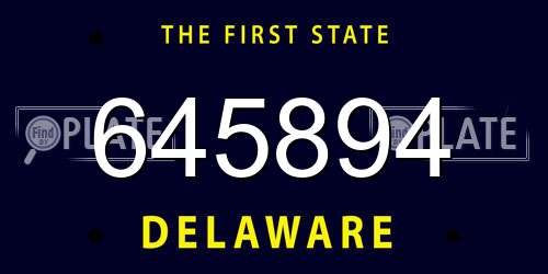 645894 Delaware License Plate