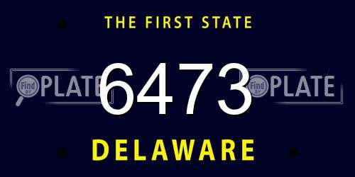 6473 Delaware License Plate