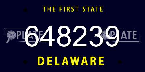 648239 Delaware License Plate