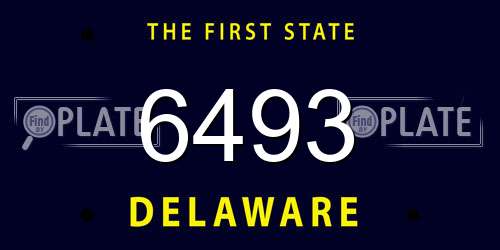 6493 Delaware License Plate