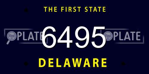 6495 Delaware License Plate