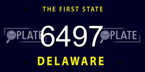6497 Delaware License Plate