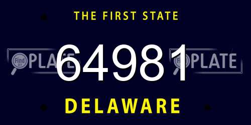 64981 Delaware License Plate