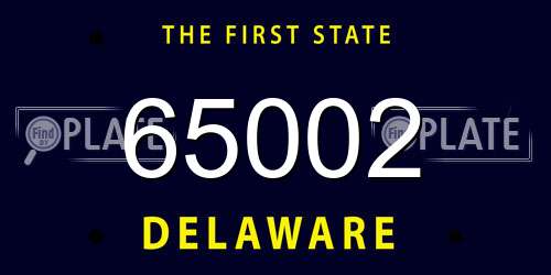 65002 Delaware License Plate