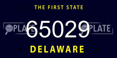 65029 Delaware License Plate