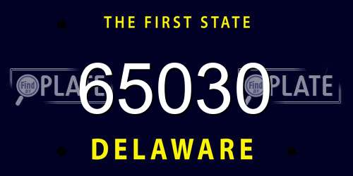 65030 Delaware License Plate