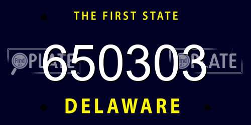 650303 Delaware License Plate