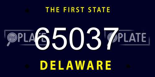 65037 Delaware License Plate