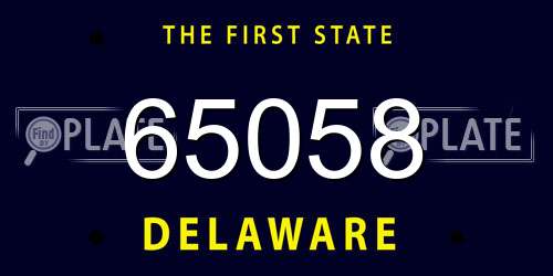 65058 Delaware License Plate