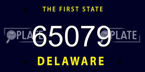 65079 Delaware License Plate