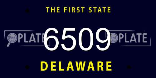 6509 Delaware License Plate