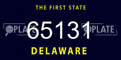 65131 Delaware License Plate
