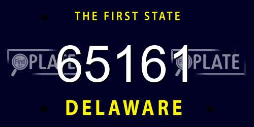 65161 Delaware License Plate
