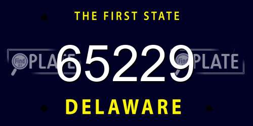 65229 Delaware License Plate