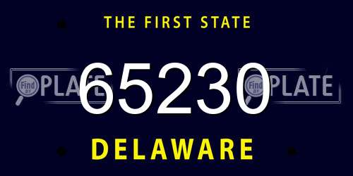 65230 Delaware License Plate