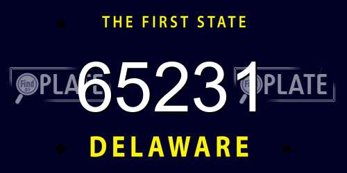 65231 Delaware License Plate