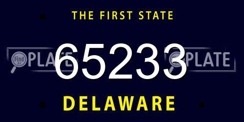 65233 Delaware License Plate