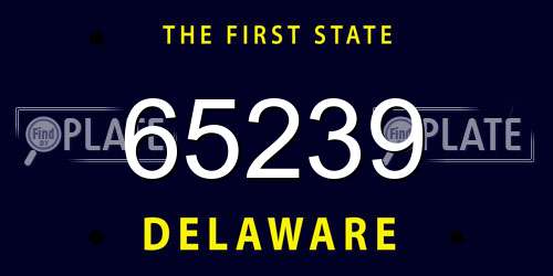 65239 Delaware License Plate
