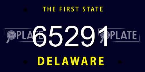 65291 Delaware License Plate