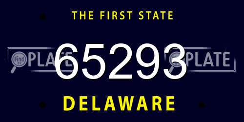65293 Delaware License Plate