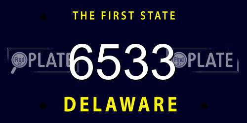 6533 Delaware License Plate