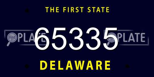 65335 Delaware License Plate
