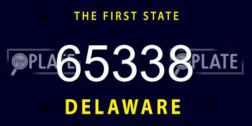 65338 Delaware License Plate