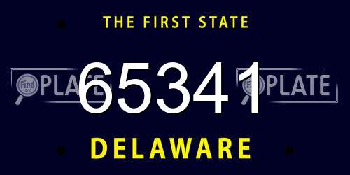 65341 Delaware License Plate
