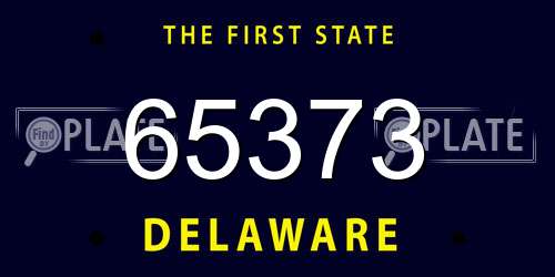 65373 Delaware License Plate