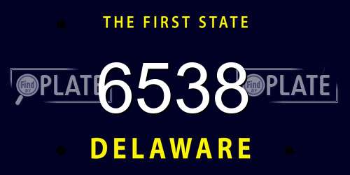 6538 Delaware License Plate